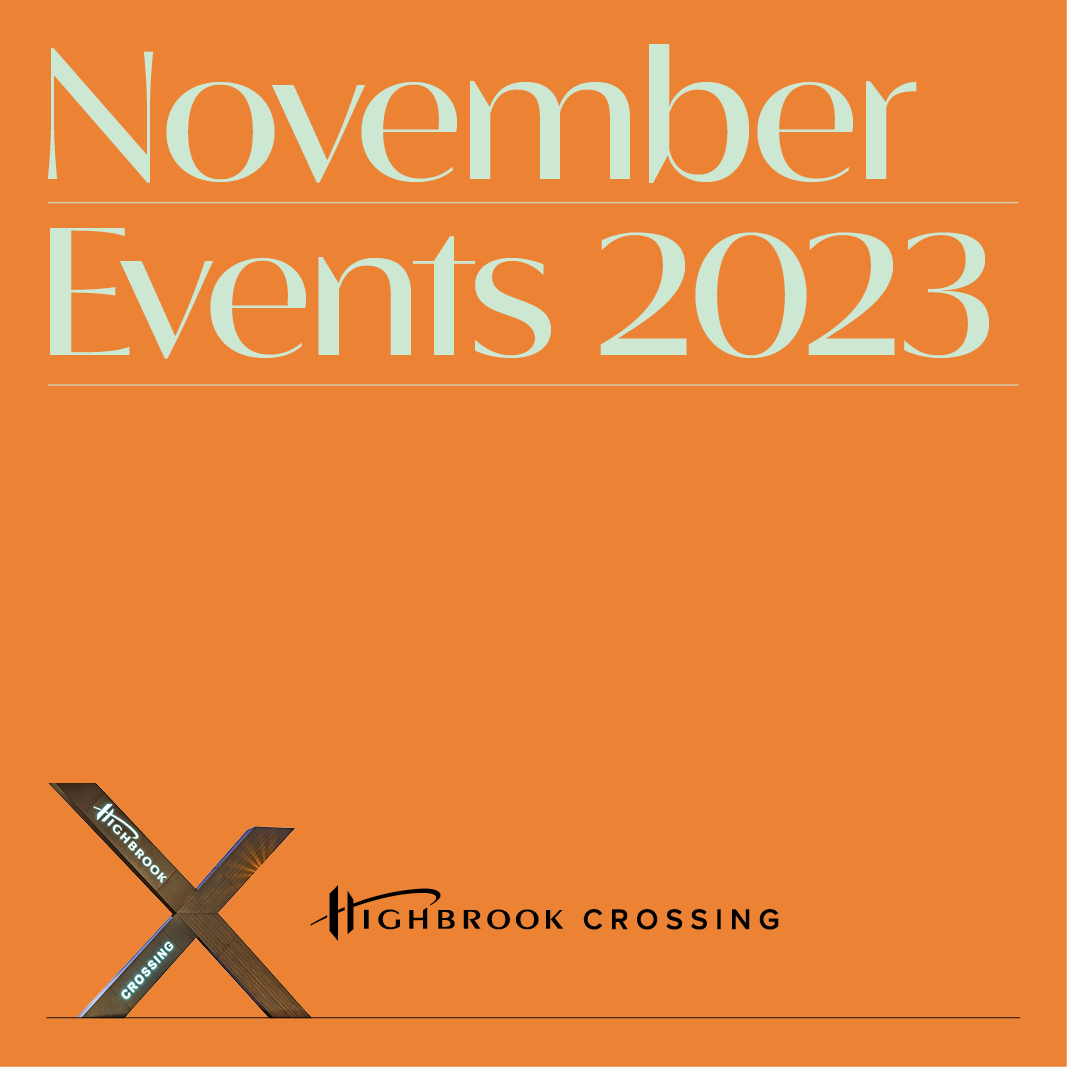 What's on in November!