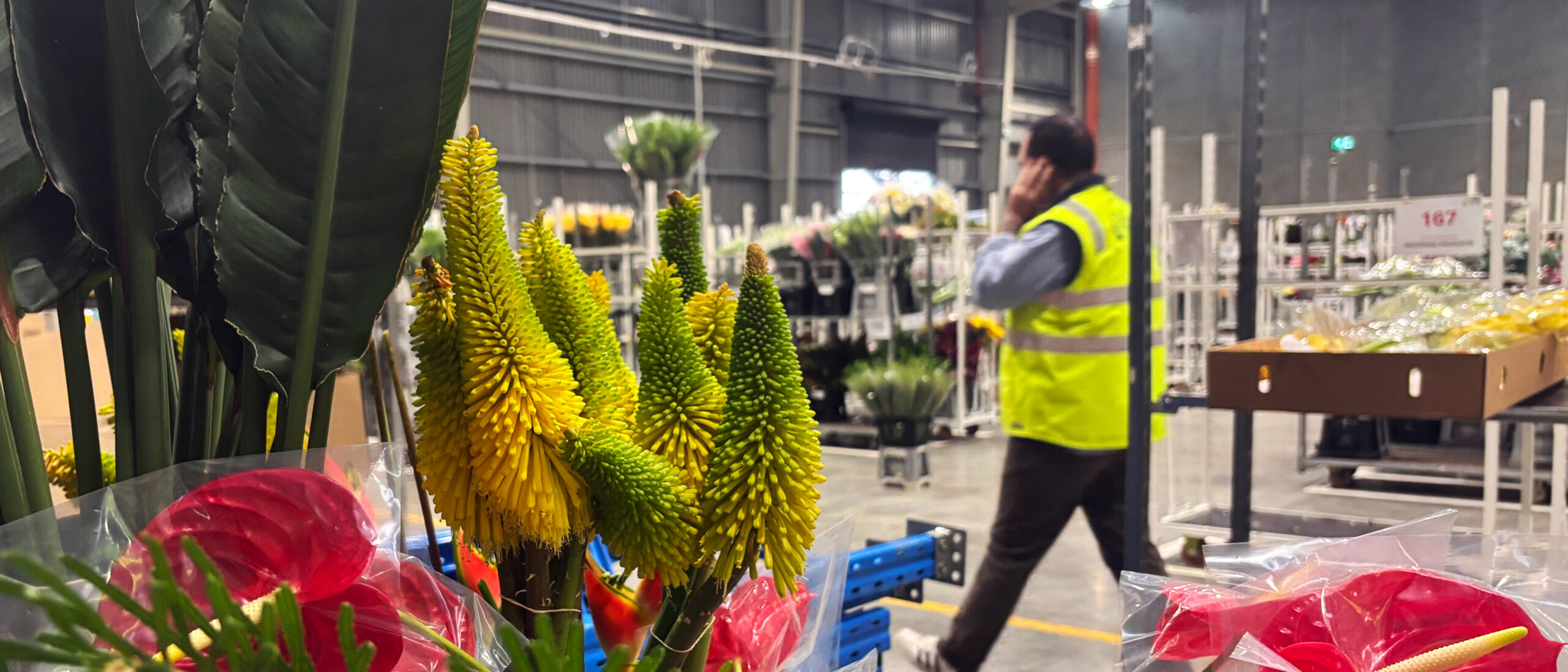 United Flower Growers