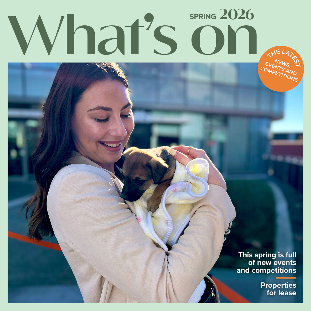 Highbrook Crossing Newsletter
